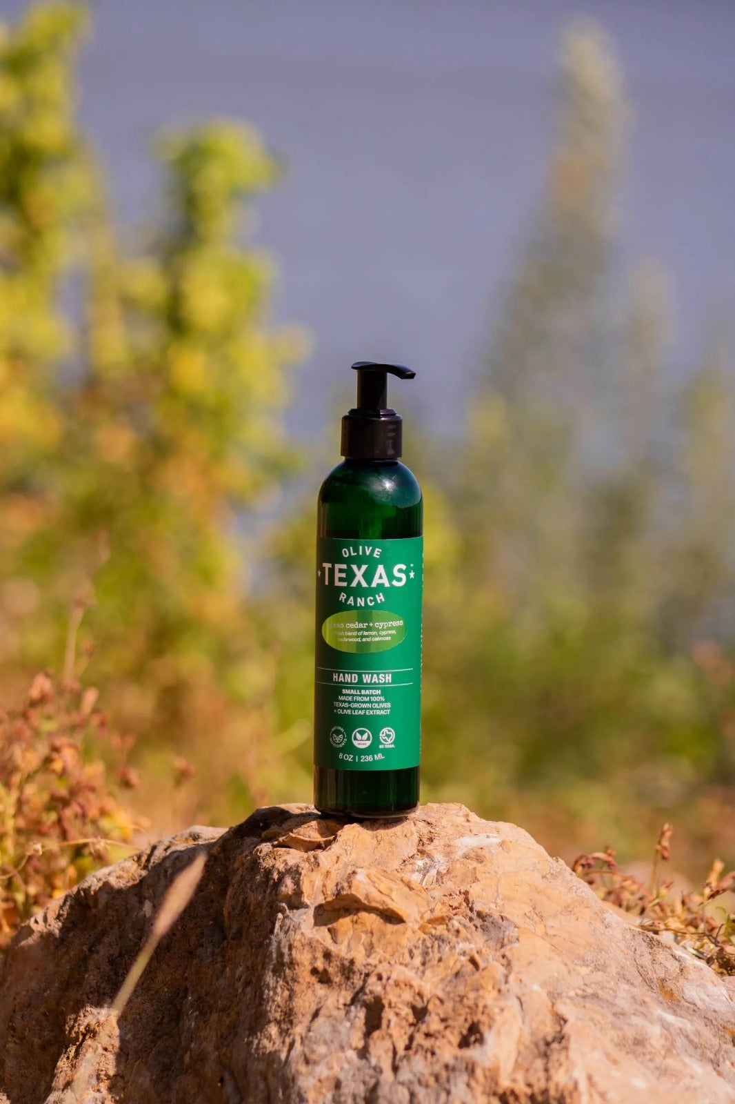Hand Wash